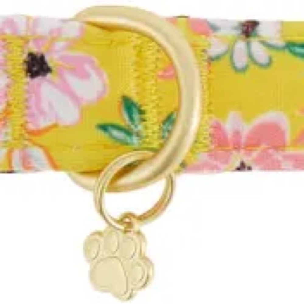 NWT TOP PAW DOG COLLAR Floral Yellow with Gold Paw Charm SMALL 9.5” - 14” NEW - Picture 5 of 10